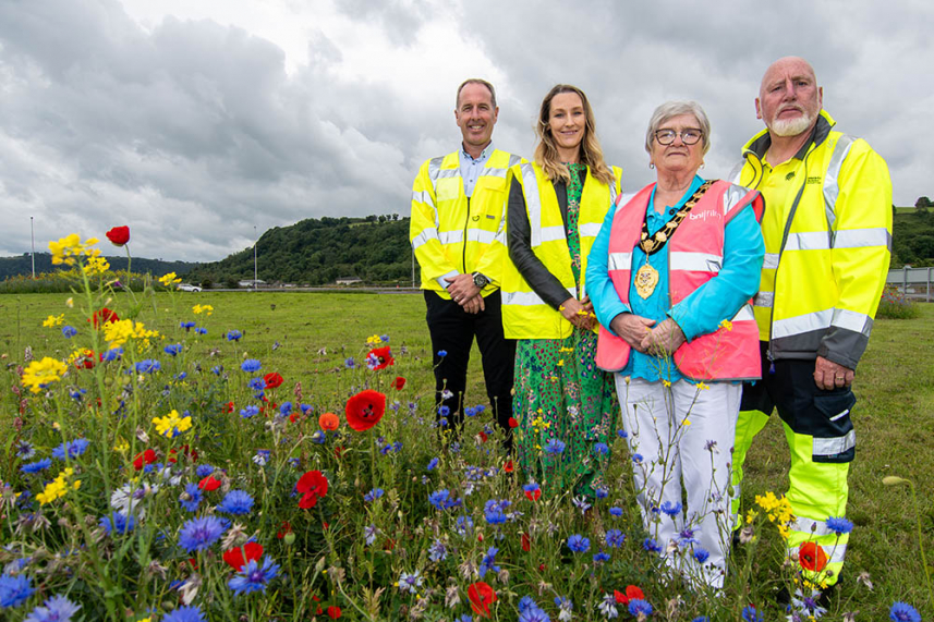 Wildflower blooms bursting with colour in Larne image