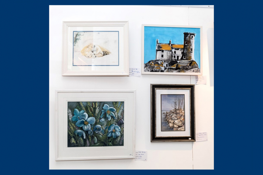 Larne Art Club Spring Exhibition image