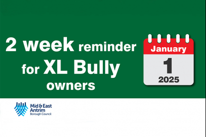 XL Bully owners to take action now to avoid their pet being seized image