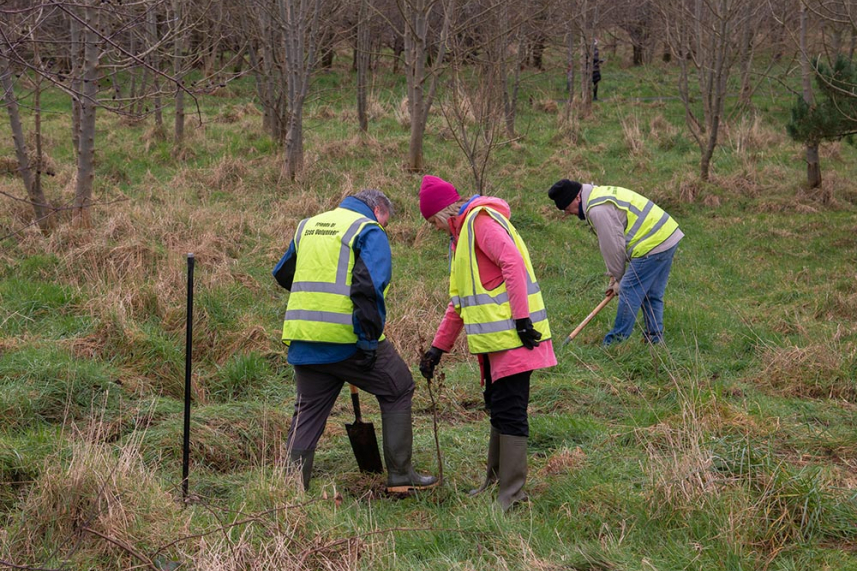 Tree-mendous effort by all to mark National Tree Week! image